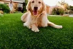 201804211126483651539