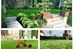 201806061106329850660-1