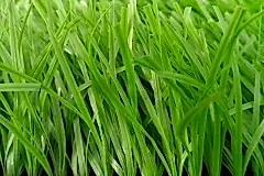 201803071640242591349