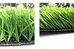 201805020851351687620-1