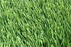 201806040935568438649