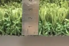 201901231358525171604