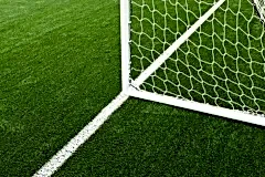 50mm-height-stem-inside-artificial-grass-turf06032504487