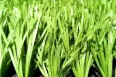 artificial-grass-football-pitch44232302523