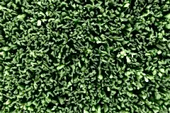 201803281007571622778