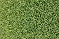 artificial-golf-course51589953313