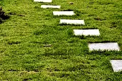 15478816-stone-block-walk-path-in-the-park-with-green-grass-background