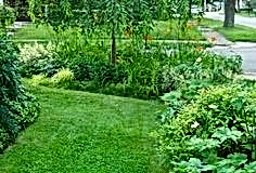 6f71e3e68d574a17ceef07b69dde8325