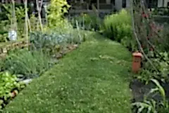 path-main-grass-path