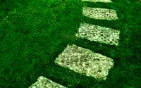 thumbs_12027986-the-stone-block-walk-path-in-the-park-with-green-grass-background